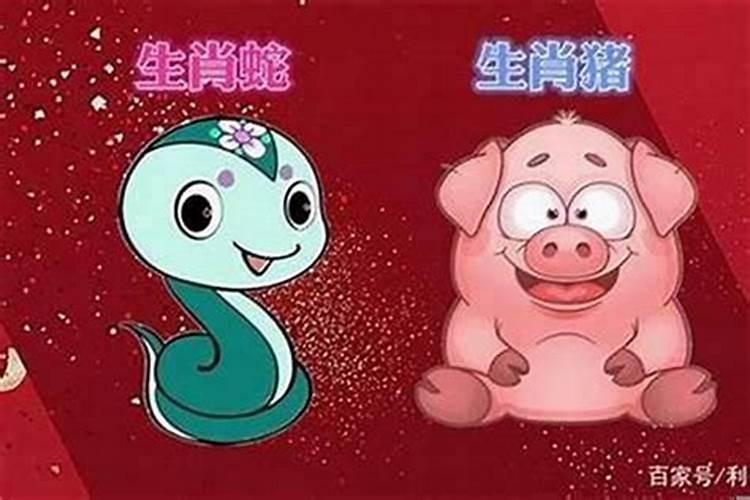 男属蛇和女属猪能过一辈子 生活需要很努力？