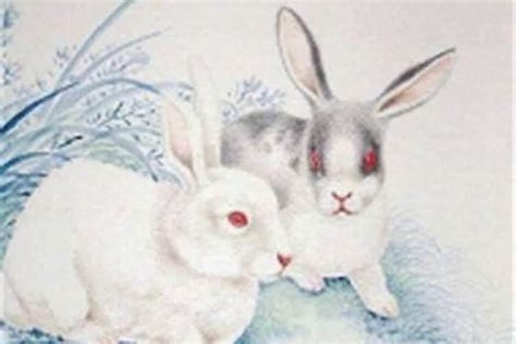 周公解梦梦见发洪水