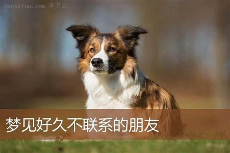 2025年羊年运势及运程