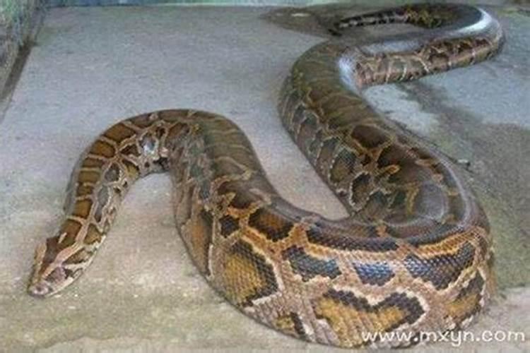 打胎后怎么给孩子超度