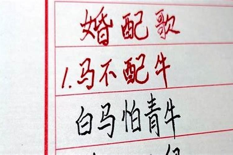 生肖鼠1996年2025年运势如何 生肖鼠1996年2025年全年运势