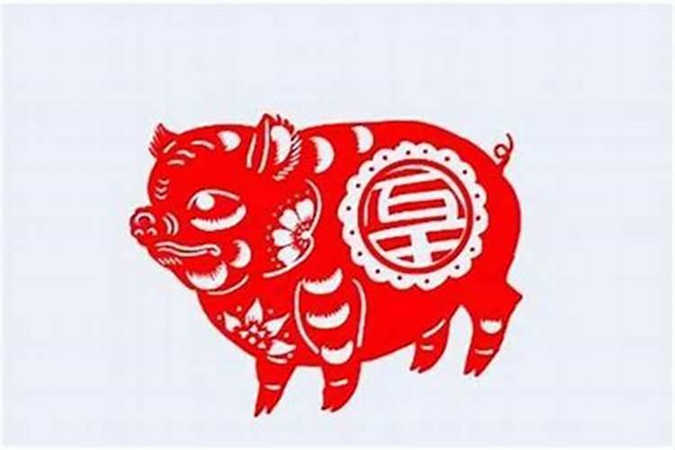 1995年农历1220子时出生生肖属猪的人命运怎么？