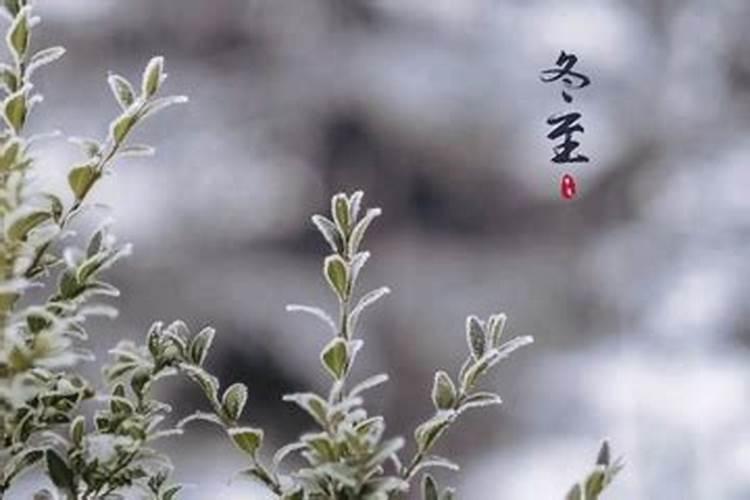冬至适合上香吗