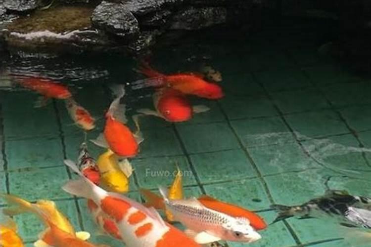 温州冬至吃什么,你知道吗？