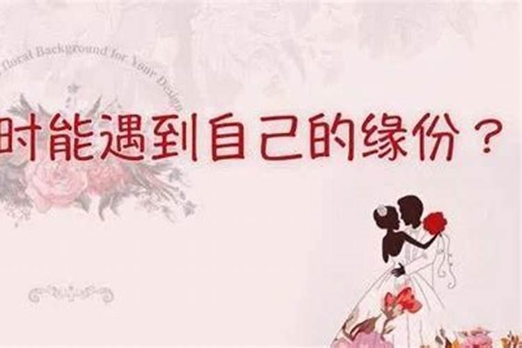 梦见吃饺子吃到硬币吉凶指数高达95