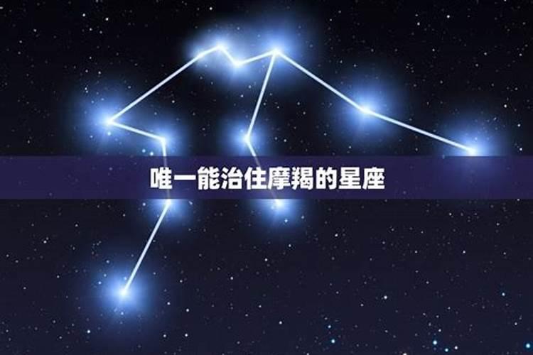 清明节的习俗作文500600字