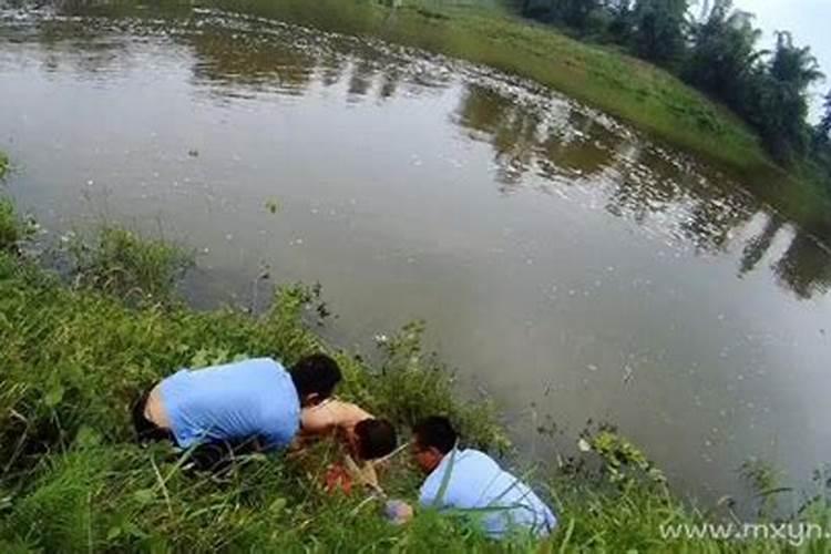 请问,栽树是否影响风水？