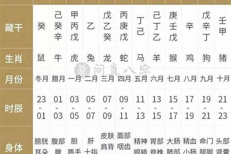 中山中秋节哪里有灯会