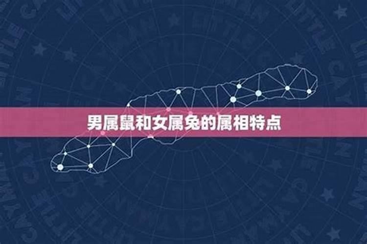 1975属兔女在2025年的每月运势