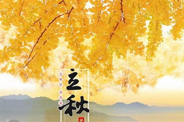 今天做了一个梦,睡觉的时候依靠在一个男人的胳膊上,好舒服,好温暖,这...