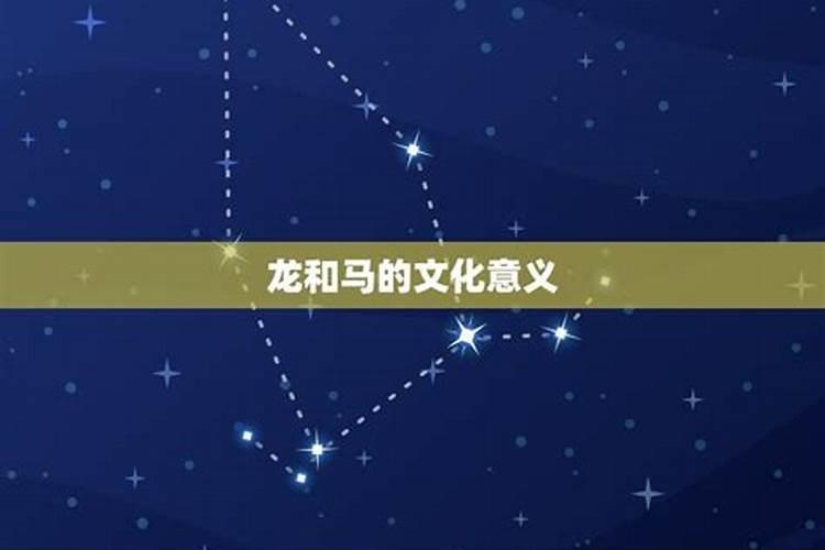 男龙和女马八字相合吗