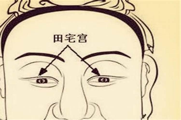 1993年属鸡的是什么命