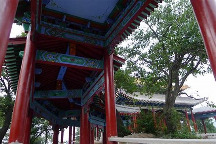 做梦梦见棺材好不好