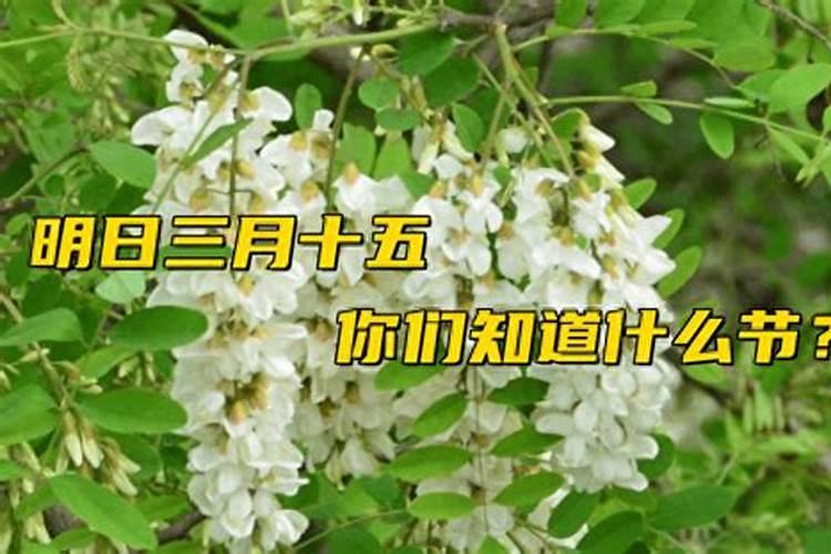 重阳拜山的风俗,广东重阳节拜山