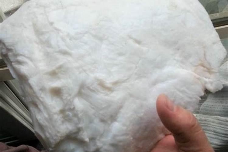 鉴定太岁最简单的方法,鉴定石太岁最简单的方法