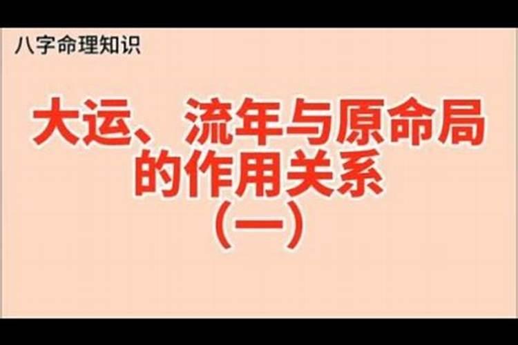 属猪不能生在几点出生