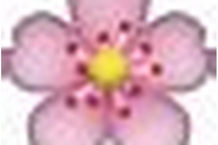 八字婚姻不好可以破解吗？