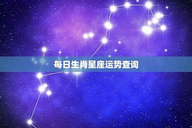 1977年属蛇男在2025年运程和运势