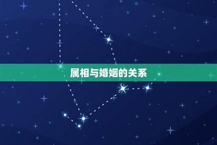 75年属兔人2025年全年运势