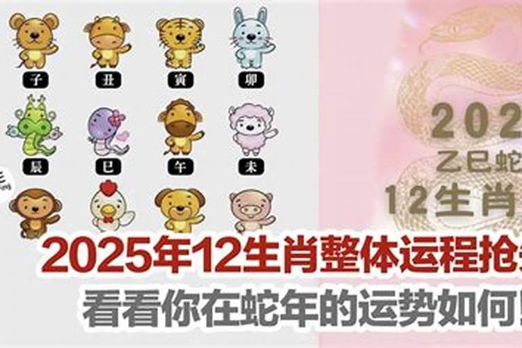 农历十月初一是什么星座