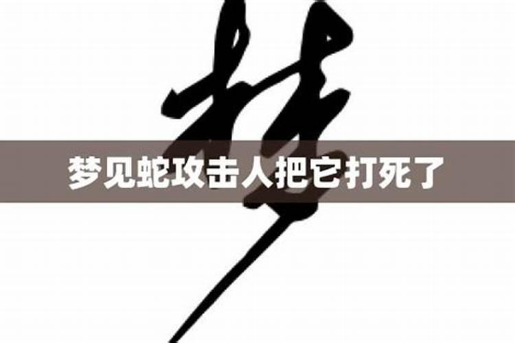 宣威清明节扫墓作文600字