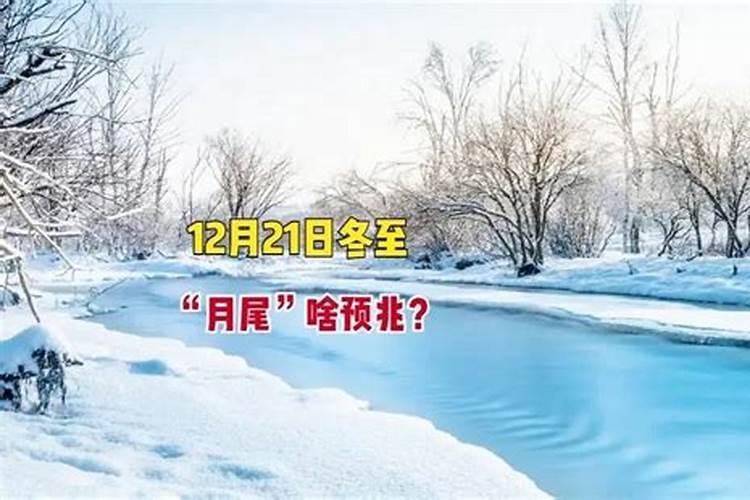 10月17农历生日 是属什么的 生肖