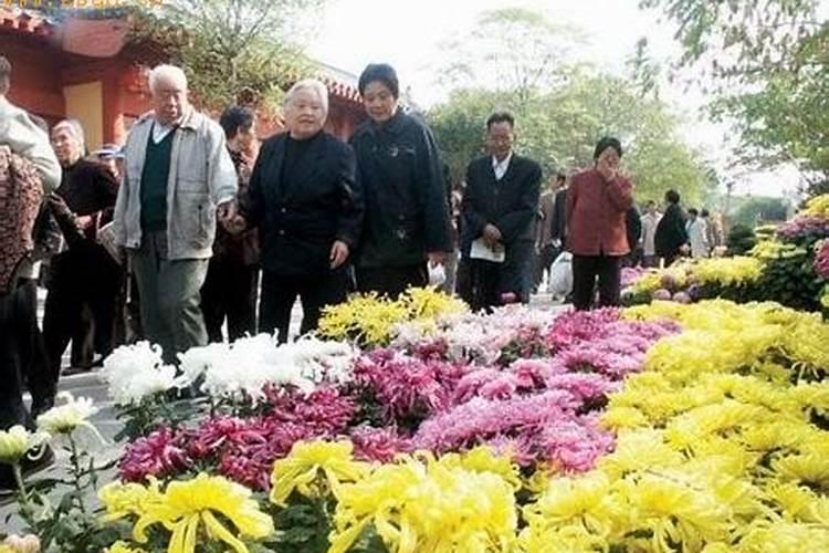 重阳节有哪三个风俗
