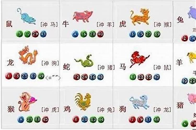 属鸡的和属鼠的能在一起吗？