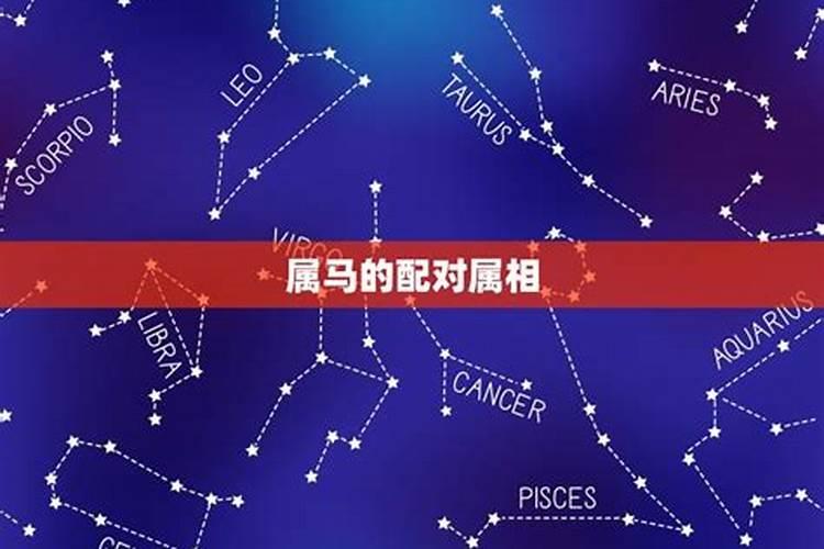 属马的和什么属相最配、相克