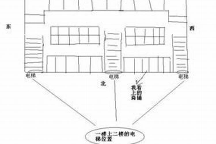1980年的猴2025年的运势怎么样