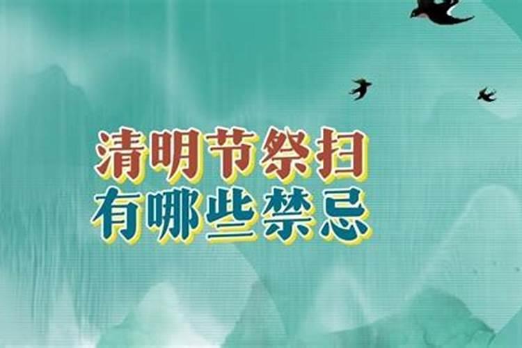 清明扫墓十大禁忌事项