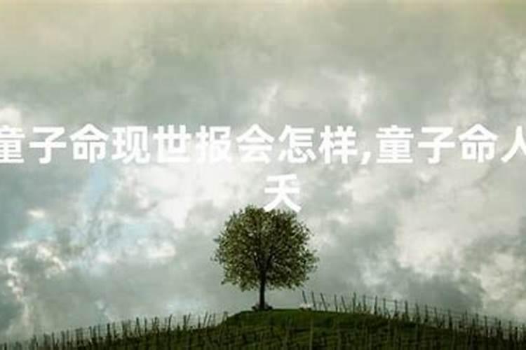72年的老鼠2025运气怎么样