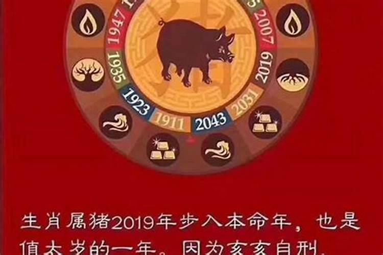 属狗94年三月初十的运势