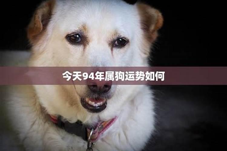 生肖鸡1993年2025年运势如何 生肖鸡1993年2025年全年运势