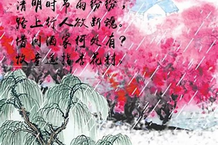 清明寄情思作文