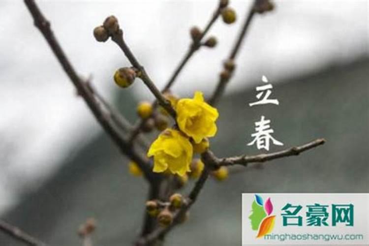 换大运从生日换还是立春