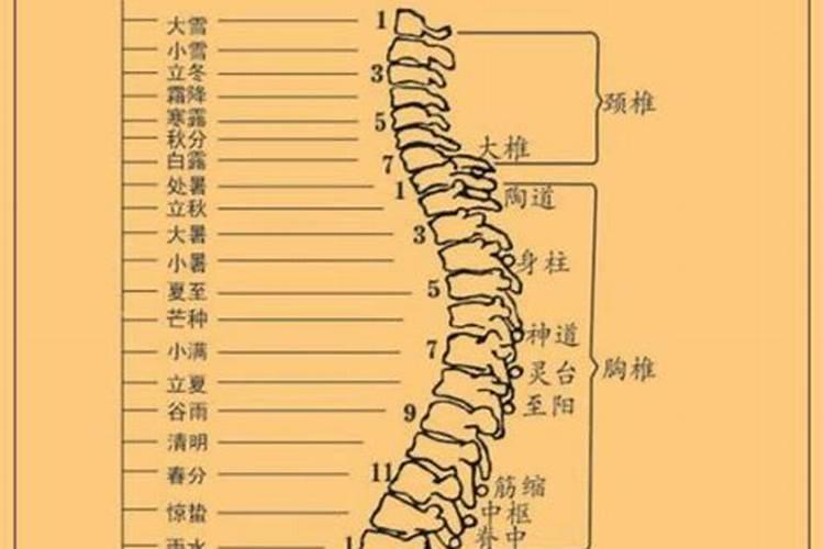 芜湖气候怎么样