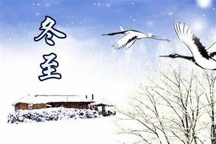 生肖鼠1984年2025年运势如何 生肖鼠1984年2025年全年运势