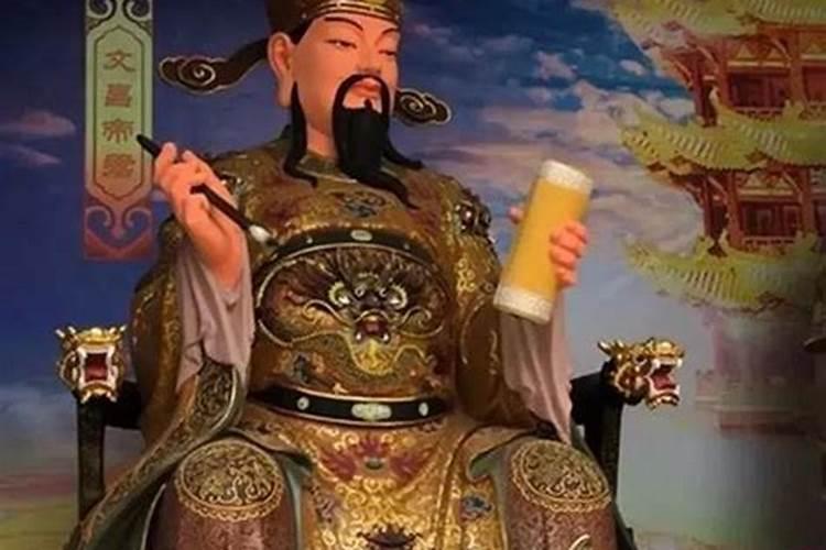 属兔人2025年全年运势及运程