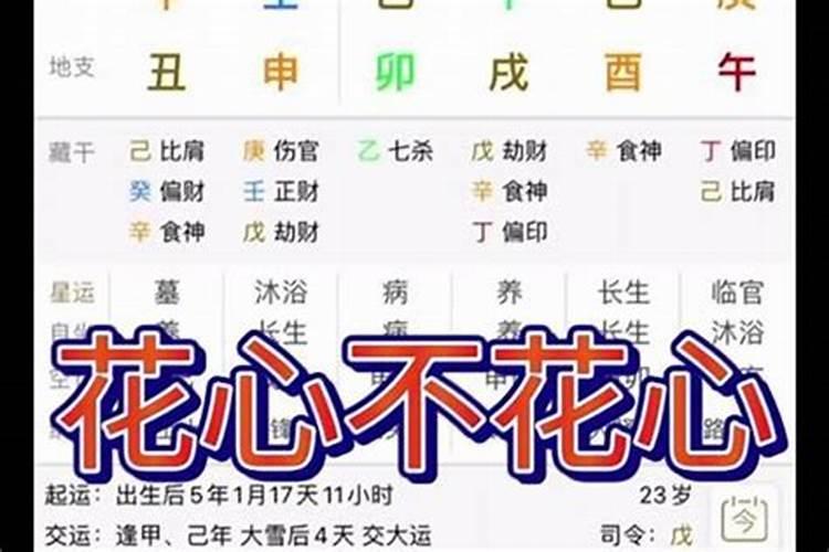 做了一个梦,梦见舅舅家生了一个男孩(舅舅家只有一个女儿,并且舅妈...
