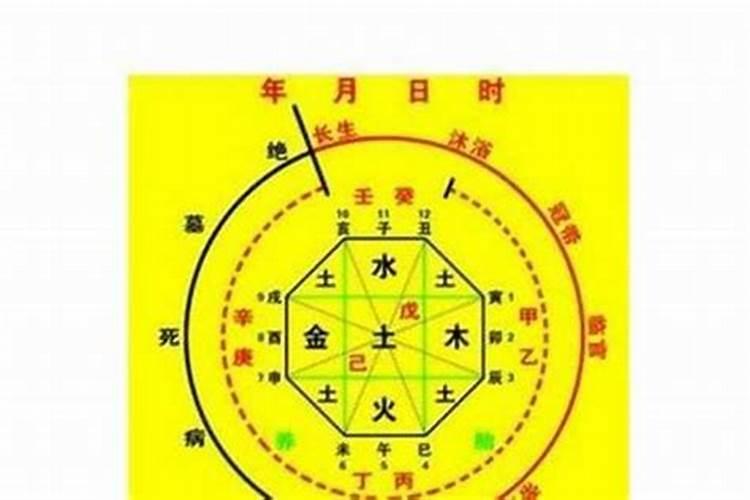 2025属蛇本命年要怎样穿戴