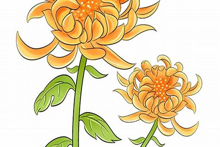 学生清明节去烈士陵园扫墓前应做哪些