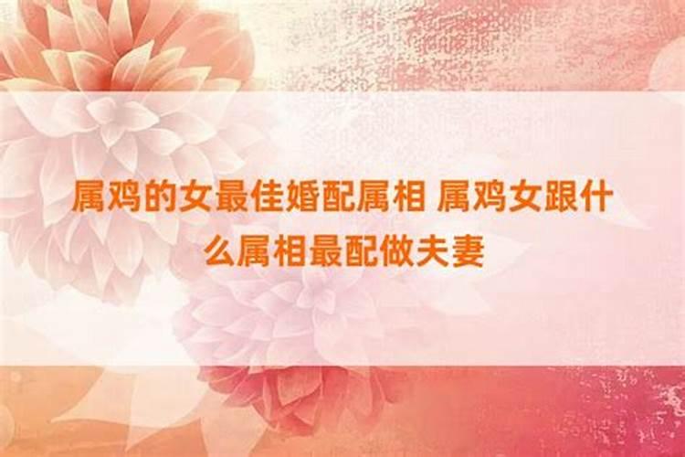男女属相最佳婚配表大全十二生肖婚姻最佳搭配