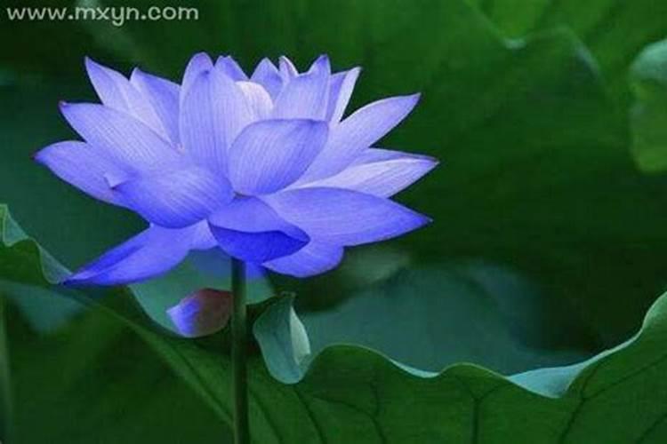 24年重阳节是几月几日 重阳节习俗