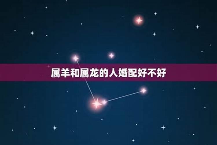 76龙男2025每月财运