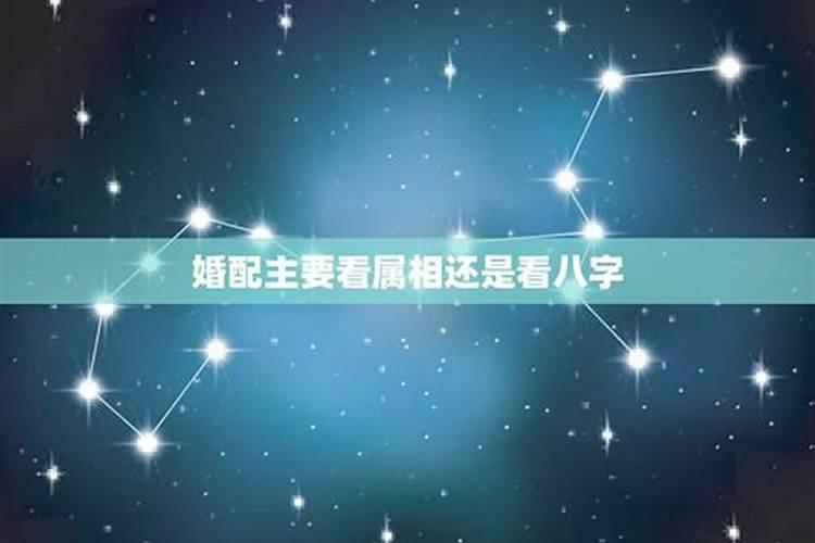 属相婚配有多准,属相婚配准吗？可信么？