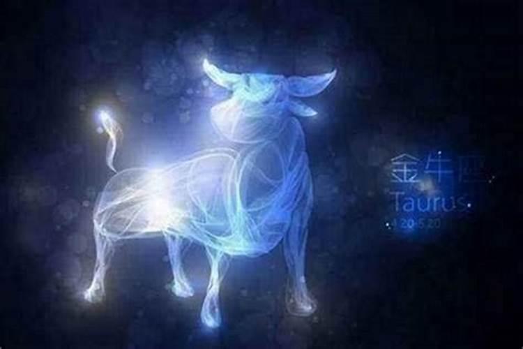 金牛座6月20日明日运势
