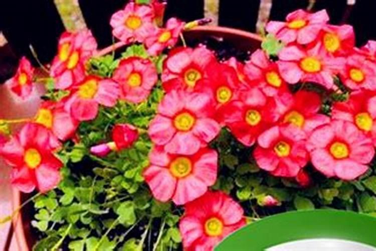 邵伟华四柱预测学入门(陈园) 第八章 四柱岁运