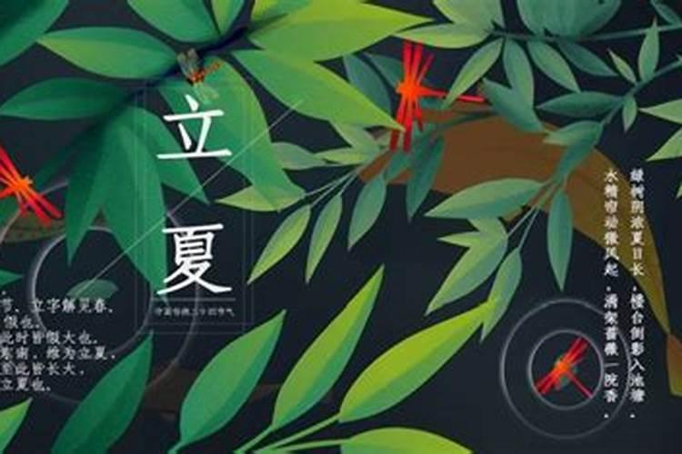 78年的马2025年运势