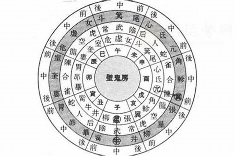 女兔男蛇婚姻相配吗 蛇男为什么喜欢兔女